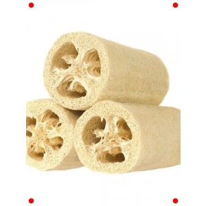 Lif Kabak Tohumu (Çoklu) - 10 Adet