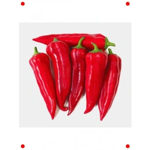 Maraş Biberi Tohumu - 5 gr - leneksel Lezzet