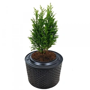 Metal Ağaç Saksısı - Fırınlanmış Statik, 33-38 cm