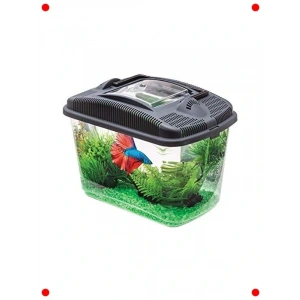 Mini Akvaryum Seti - Beta Balığı Uyumlu