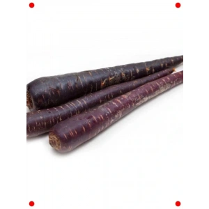 Mor Havuç Tohumu (5 gr) - Renkli ve Besleyici