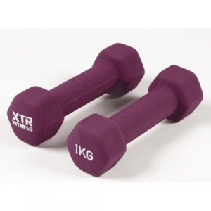 Mor Renk Dambıl Seti, 1 kg Ağırlığında Evde Kullanım İçin