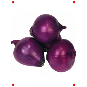 Mor Soğan Tohumu (3 gr) - Renkli ve Keskin