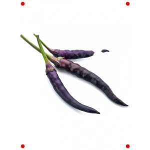 Mor Süs Biberi Tohumu - Dekoratif ve Şık