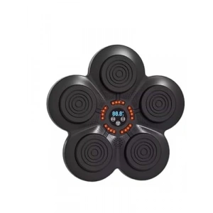 Müzikli Duvar Boks Padi, Eğlenceli Antrenman İçin