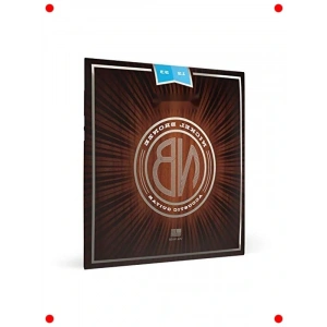 Nikel Bronz Akustik Gitar Teli Seti (12-53)