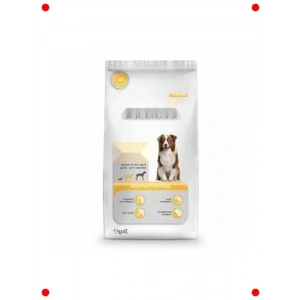 Orta Irk Somonlu Yetişkin Köpek Maması - Özel Formül