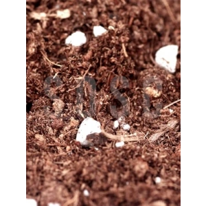Özel Karışım Saksı Harcı, Cocopeat ve Perlit, Çiçek ve Bitki İçin 3 Litre