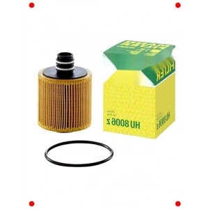 Özel Model Araç Yağ Filtresi (HU 8006 z)