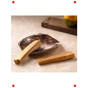 Palo Santo ve Deniz Kabuğu Tütsü Başlangıç Seti