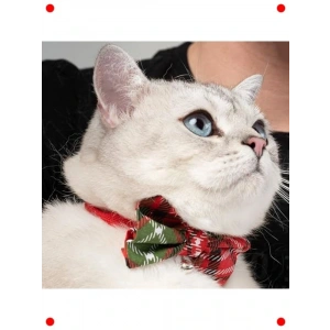 Papyonlu Ayarlanabilir Kedi Tasması (Çanlı)