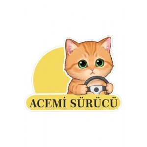 Parti Tasarla Ace Sürücü Sevimli Kedi Araba Etiketi & Sticker Çok Renkli