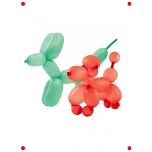 Parti ve Kutlama Balon Seti