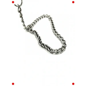 Paslanmaz Çelik Köpek Eğitim Tasması (Gümüş)