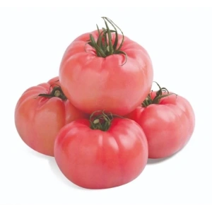 Pembe domates tohumları, 100 adet, bahçe ve tarım için ideal