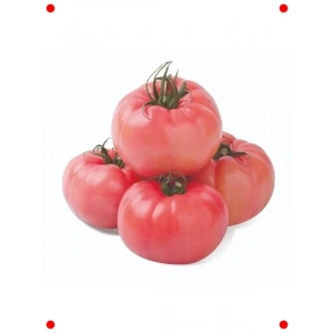 Pembe Domates Tohumu - 100 Adet - Lezzetli & Büyük