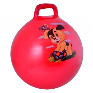 Pilates Topu, 55 cm ve 450 gr Ağırlık ile İdeal Seçenek