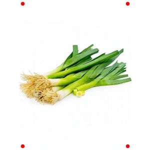 Pırasa Tohumu (Çoklu Paket, 5 Gram)