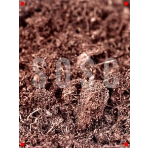 Premium Sphagnum Bitki Torfu - 1 Lt (Böceksiz)