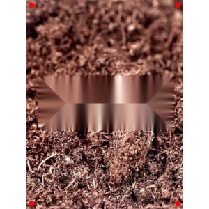 Preum Sphagnum Bitki Torfu - 3 Lt (Böceksiz)