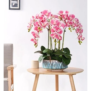 Profesyonel Ahşap Clave, Müzik Aksesuarı