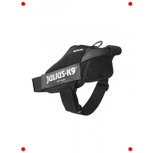 Profesyonel Çalışan Köpek Eğitim Tasması