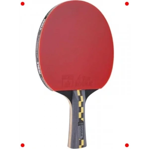 Profesyonel Karbon Masa Tenisi Raketi, ITTF Onaylı