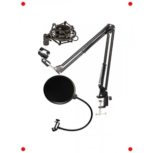 Profesyonel Mikrofon Standı Seti