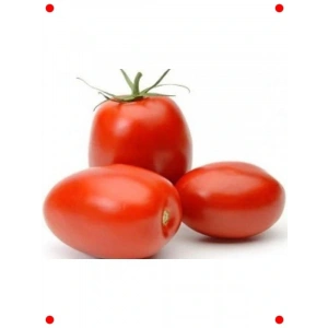 Rio Domates Tohumu (10 gr)