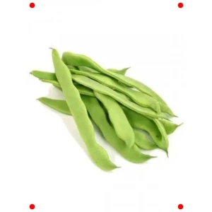 Romano Oturak Fasulye Tohumu (25 gr) - İdeal Lezzet