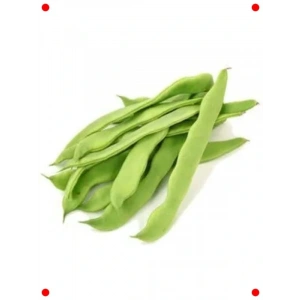 Romano Oturak Fasulye Tohumu (25 gr) - İdeal Lezzet