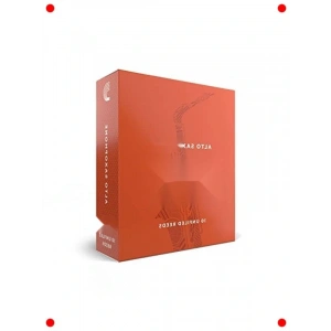 Saksafon Kamışları, Güç 3.5, 10lu Paket