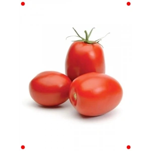 Salçalık Domates Tohumu - Verimli Hasat