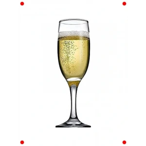 Şampanya Kadehi Seti 190 CC (6lı Hediyelik Kutu)