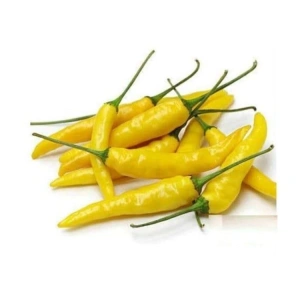 Sarı süs biber tohumları, 3 gram, bahçe dekorasyonu için