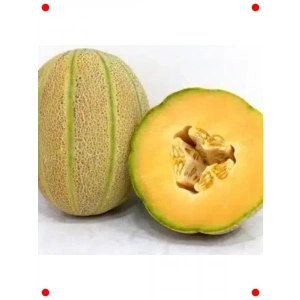 Şeker Kavunu Tohumu (Çoklu Paket, 5 Gram)