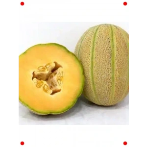 Şeker Kavunu Tohumu (Çoklu Paket, 5 Gram)