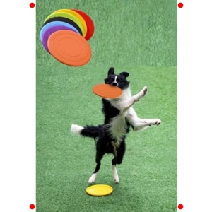 Silikon Köpek Frizbisi: Esnek & Dayanıklı Oyun Diski (17.5cm)