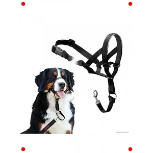 Siyah Ayarlanabilir Eğitim Ağızlığı - Boyut 5