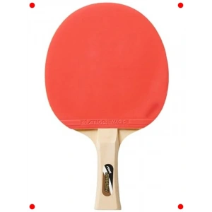 Smash Serisi Performans Masa Tenisi Raketi
