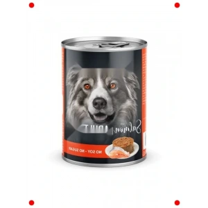 Somon Balıklı Yetişkin Köpek Ezme Mama (12x400g)