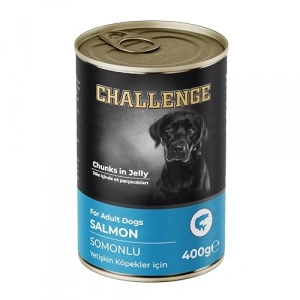 Somonlu Yetişkin Köpek Konserve, 400 Gr