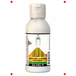 Su Bazlı Parlak Vernik 100 ml - Boya Koruyucu