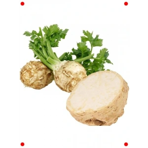 Taze Kereviz Tohumu (3 gr) - Sağlıklı Seçim