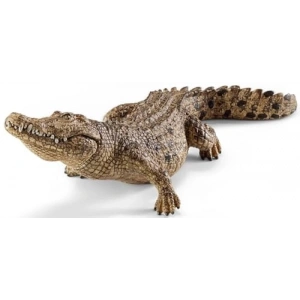 Timsah Figürü ile Doğa Temalı Oyunlar