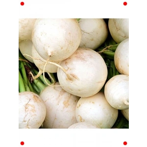 Turp Beyaz Kız Tohumu (10 gr)