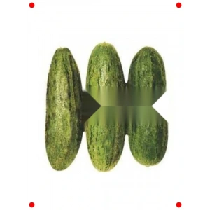 Tüylü  Tohumu - 5 gr - Bahçe İçin