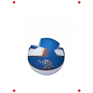 Unisex Mini Retro Basketbol Topu - Takım Temalı