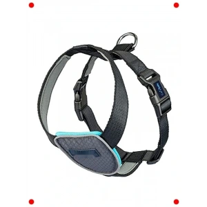 XSmall Siyah Araba Köpek Seyahat Göğüs Tasması