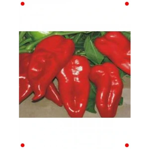 Yağlık Biber Tohumu - 10 gr